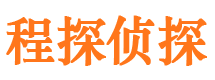 丰城侦探公司